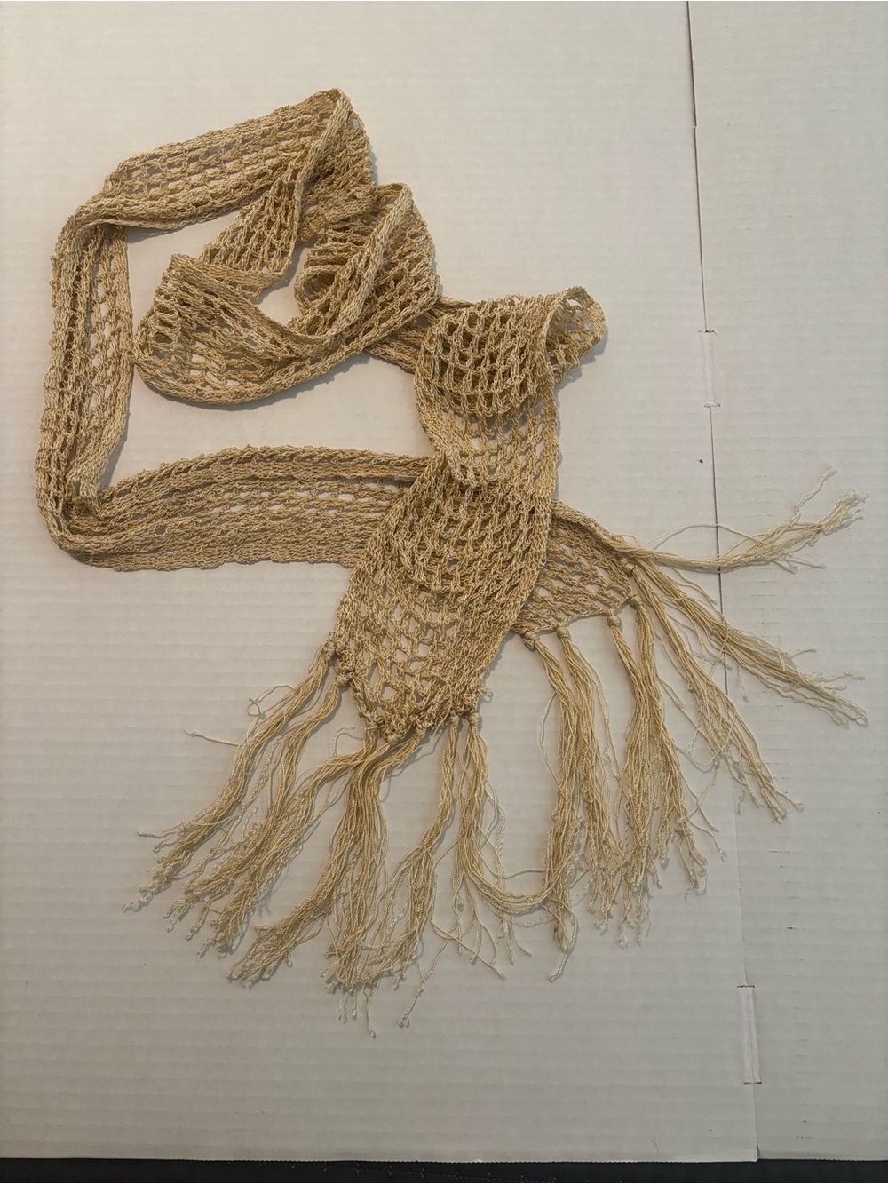 Neutral Beige Crochet Fringe Scarf - Women Accessories